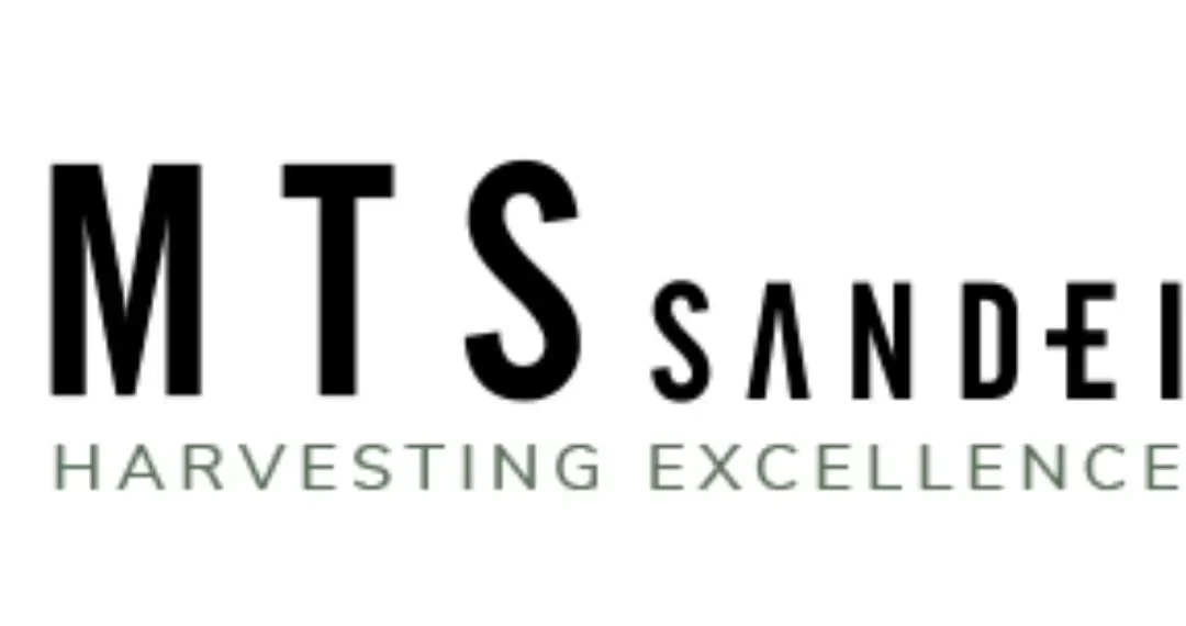 Logo marki MTS Sandei