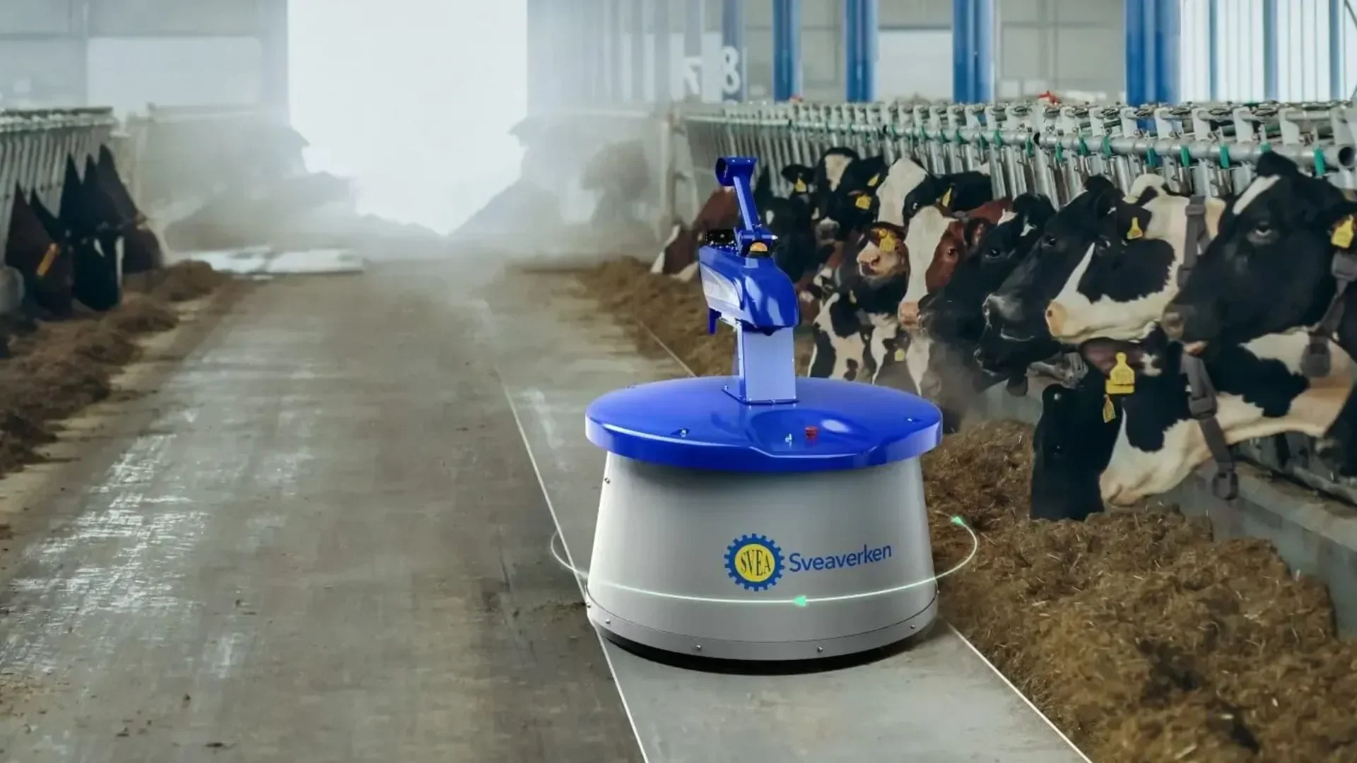 Robot NIMBO Robot Sveaverken NIMBO pracujący przy krowach w oborze.